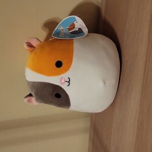 Everett the Guinea Pig 8 inch Squishmallow